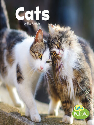 cover image of Cats